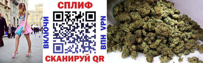 Где продают наркотики Благовещенск COCAIN  Мефедрон  ГАШИШ  Галлюциногенные грибы  АМФЕТАМИН  Каннабис  APVP 