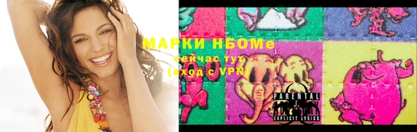 индика Магас