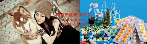 индика Магас
