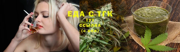 индика Магас