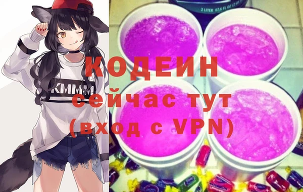 индика Магас