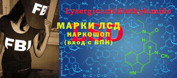 индика Магас