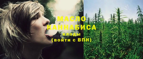 индика Магас