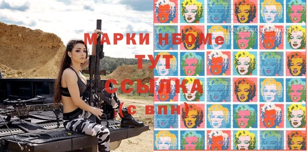 индика Магас