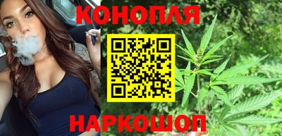 бошки Гатчина