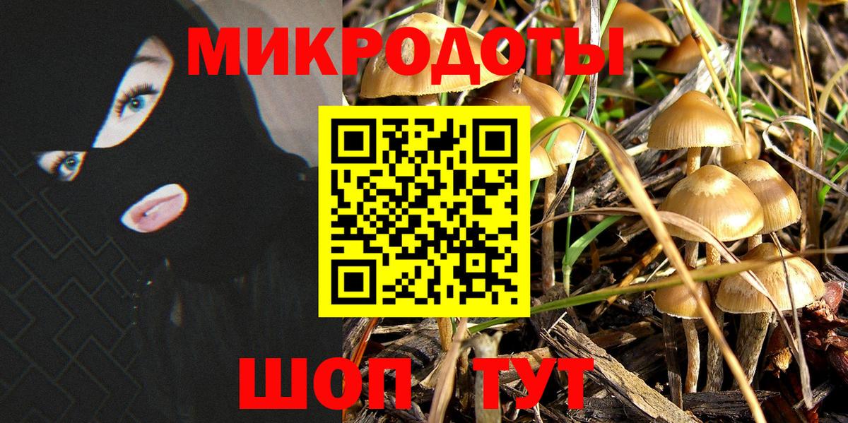 Галлюциногенные грибы MAGIC MUSHROOMS Благовещенск